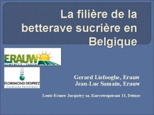 La filire de la betterave sucrire en Belgique