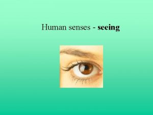 Optic disc blind spot Optic disc blind spot