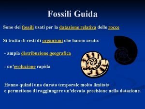 Foraminiferi fossili guida