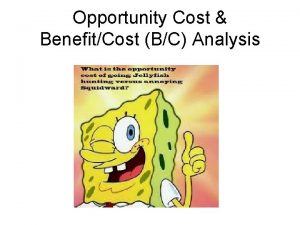 Opportunity Cost BenefitCost BC Analysis What is an