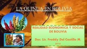 LA QUINUA EN BOLIVIA REALIDAD ECONOMICA Y SOCIAL