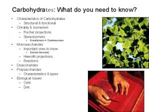 Characteristics of carbohydrates