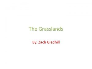 The Grasslands By Zach Gledhill World Map of