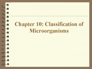 Chapter 10 Classification of Microorganisms Phylogeny The Study
