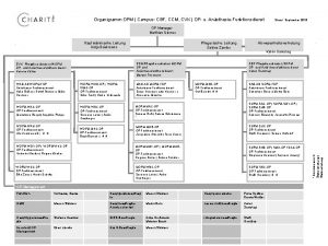 Organigramm OPM Campus CBF CCM CVK OP u