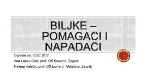 Ogledni sat CUC 2017 Ana Lopac Gro prof