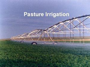 Pasture Irrigation Irrigated Pastures l Maximum production from