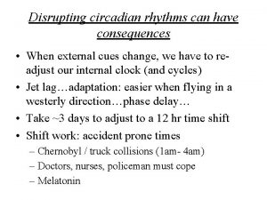 Disrupting circadian rhythms can have consequences When external