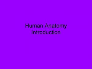 Human Anatomy Introduction What is Anatomy Study of