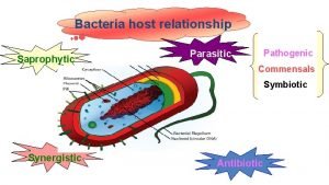 Bacteria host relationship Saprophytic Pathogenic Parasitic Commensals Symbiotic