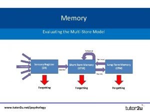 Outline and evaluate the multi-store model of memory