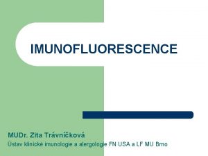IMUNOFLUORESCENCE MUDr Zita Trvnkov stav klinick imunologie a