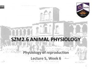 SZM 2 6 ANIMAL PHYSIOLOGY Physiology of reproduction