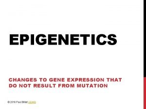 EPIGENETICS CHANGES TO GENE EXPRESSION THAT DO NOT