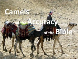 Camels and the Accuracy of the Bible 3