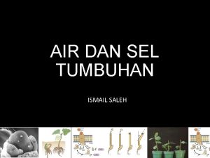 AIR DAN SEL TUMBUHAN ISMAIL SALEH Pendahuluan Air