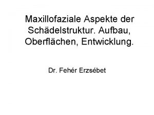 Maxillofaziale Aspekte der Schdelstruktur Aufbau Oberflchen Entwicklung Dr