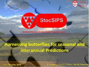Stochastic Seasonal to Interannual Prediction System Harnessing butterflies