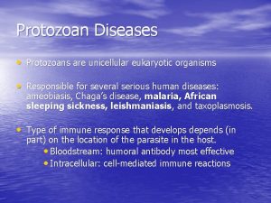 Protozoans are unicellular