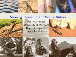 Meaning Internalism and Natural History Paul M Pietroski