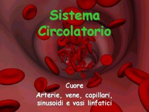 Sistema Circolatorio Cuore Arterie vene capillari sinusoidi e