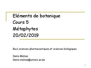 Elments de botanique Cours 5 Mtaphytes 20022019 Bac