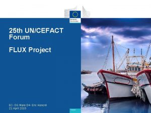 25 th UNCEFACT Forum FLUX Project EC DG