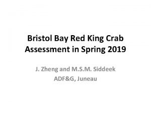 Bristol Bay Red King Crab Assessment in Spring