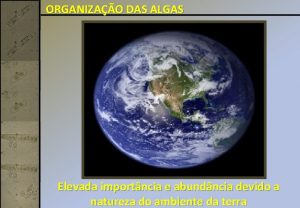 ORGANIZAO DAS ALGAS Elevada importncia e abundncia devido