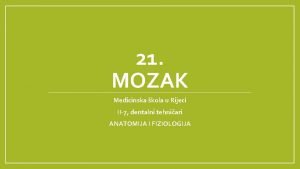 21 MOZAK Medicinska kola u Rijeci II7 dentalni