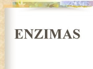 ENZIMAS ENZIMAS 1 Concepto de enzima 2 Concepto