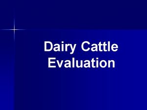Dairy Cattle Evaluation Why Judge Dairy Cattle Gain Dairy Cattle Evaluation Why Judge Dairy Cattle Gain