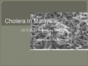 Cholera outbreak malaysia Cholera outbreak malaysia