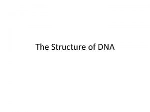 The Structure of DNA DNA carries genetic informationHow