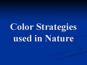 Bright colors in striking patterns warn others Bright colors in striking patterns warn others