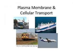 Plasma Membrane Cellular Transport http www isup 2008