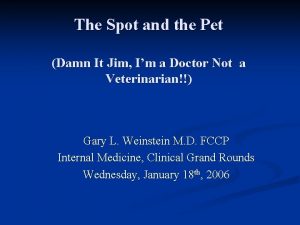 The Spot and the Pet Damn It Jim