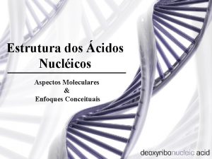 Estrutura dos cidos Nuclicos Aspectos Moleculares Enfoques Conceituais