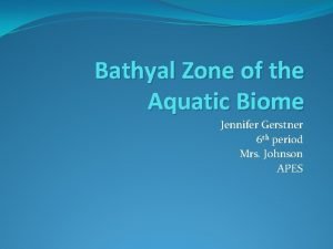 Bathyal Zone of the Aquatic Biome Jennifer Gerstner