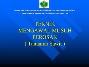 Pihak berkuasa kemajuan pekebun kecil perusahaan getah