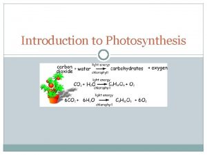 Introduction to Photosynthesis Building Macromolecules Polymer large biomolecules