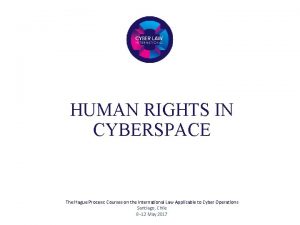 HUMAN RIGHTS IN CYBERSPACE The Hague Process Courses