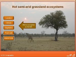 Hot semi arid grassland