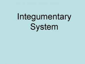 Integumentary System Integumentary System Skin hair and nails