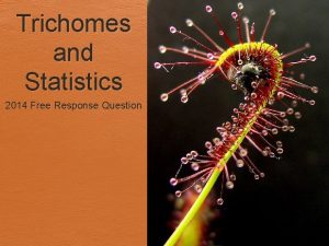 Trichomes and Statistics 2014 Free Response Question Why