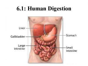 6 1 Human Digestion Nutrition Process by which