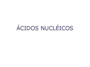 CIDOS NUCLICOS Nucleotdeos estrutura geral Base nitrogenada P