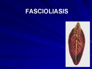 FASCIOLIASIS FASCIOLIASIS Other names LIVER FLUKES HEPATIC DISTOMATOSIS