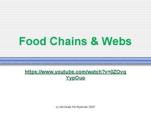 Food web youtube