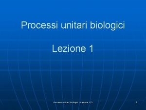 Processi unitari biologici Lezione 1 Processi unitari biologici